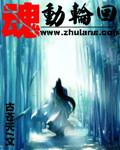魂动轮回