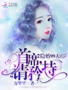 隐婚99天:首席,请矜持