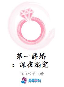 第一爵婚:深夜溺宠