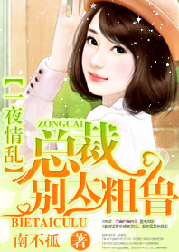 一夜乱情:总裁,别太粗鲁