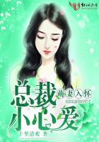 萌妻入怀:总裁,小心爱
