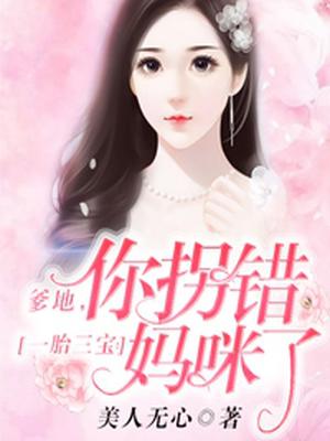 一胎三宝:爹地,你拐错妈咪了!